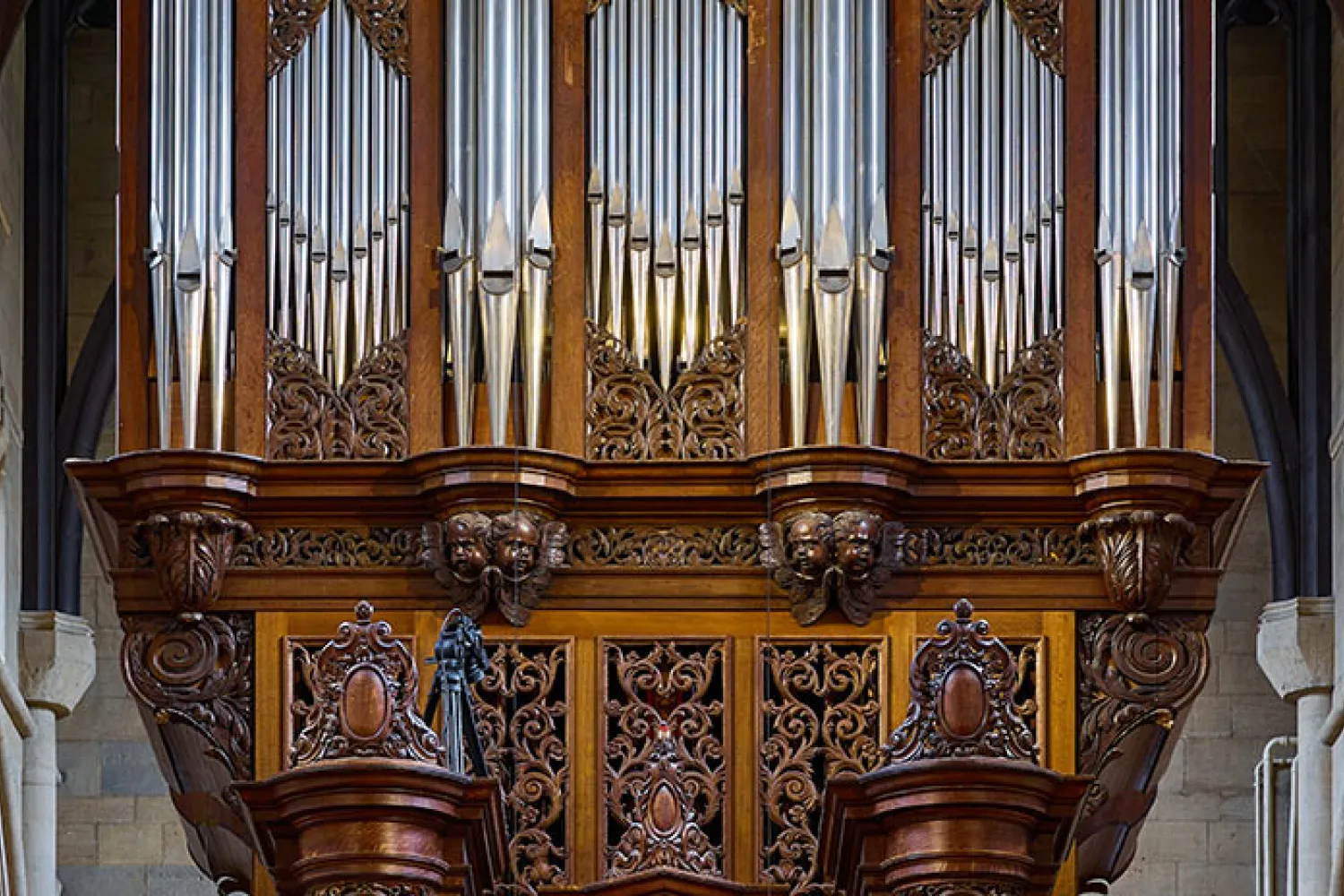 Detail of the Organ