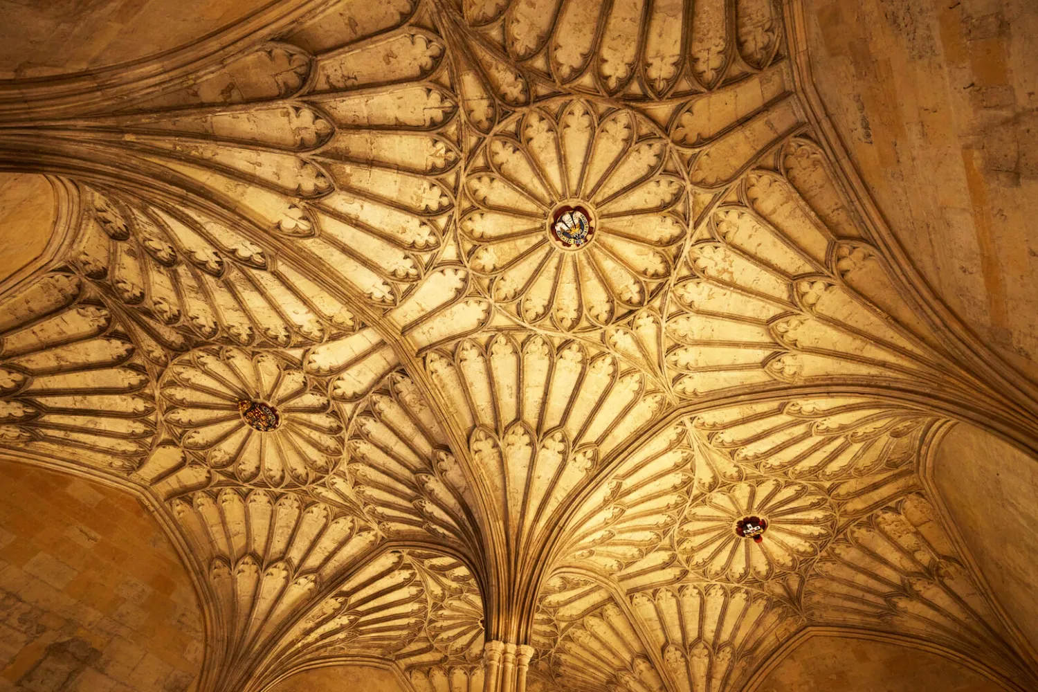 A vaulted ceiling at Christ Church