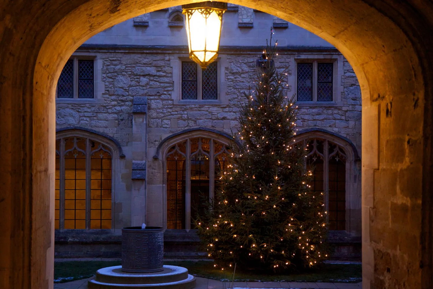 Christmas tree in the Cathedral cloister