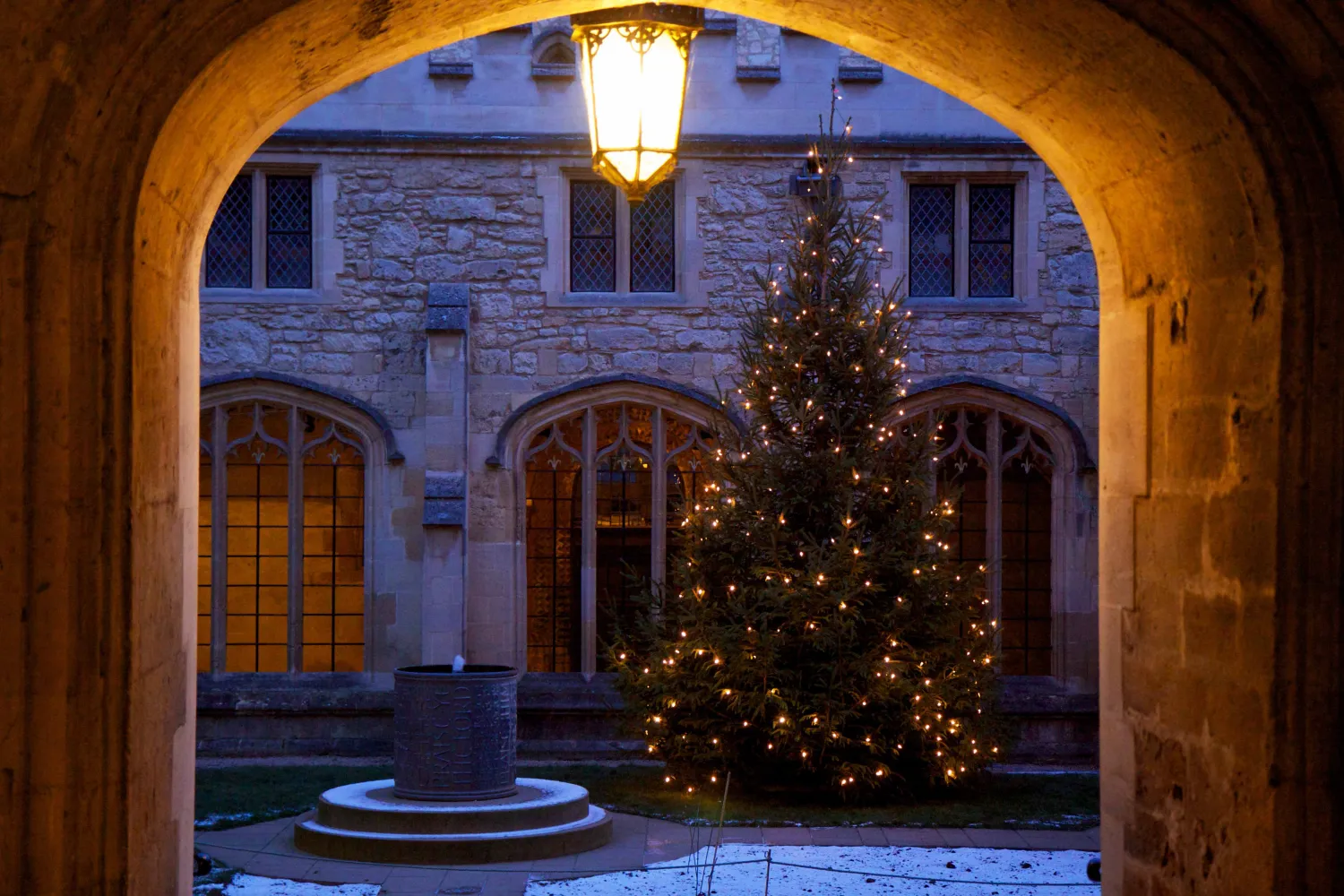 A Christmas tree in the Christ Church