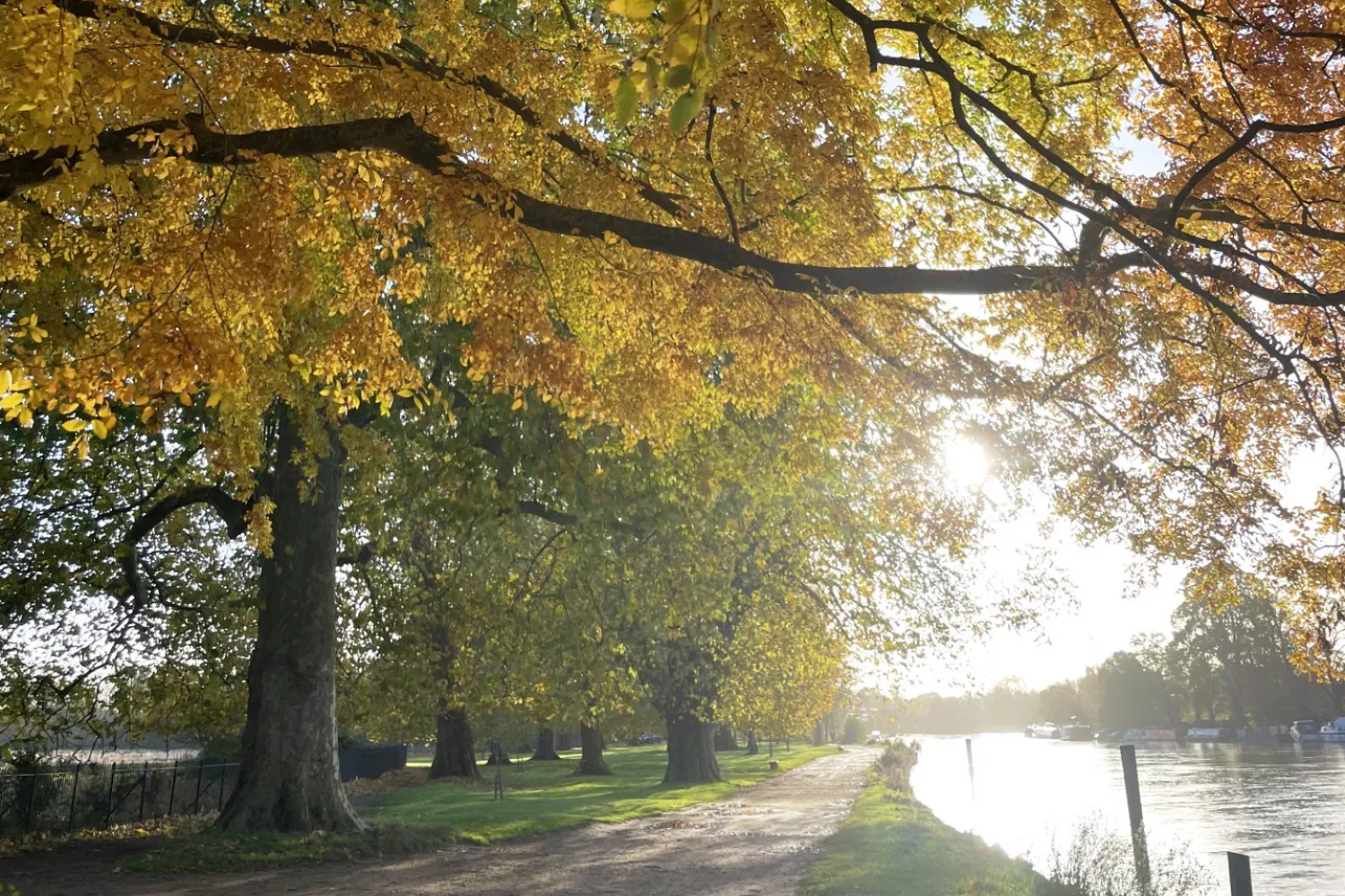 Autumn colour on display at Christ Church