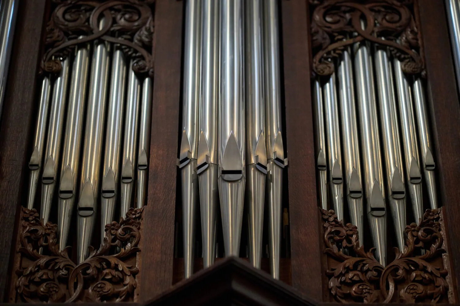 The pipes of the Cathedral organ