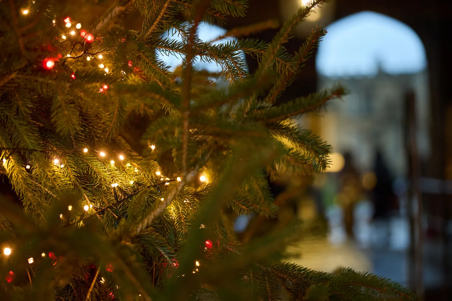 Close-up detail of Christmas tree in the Cathedral entrance