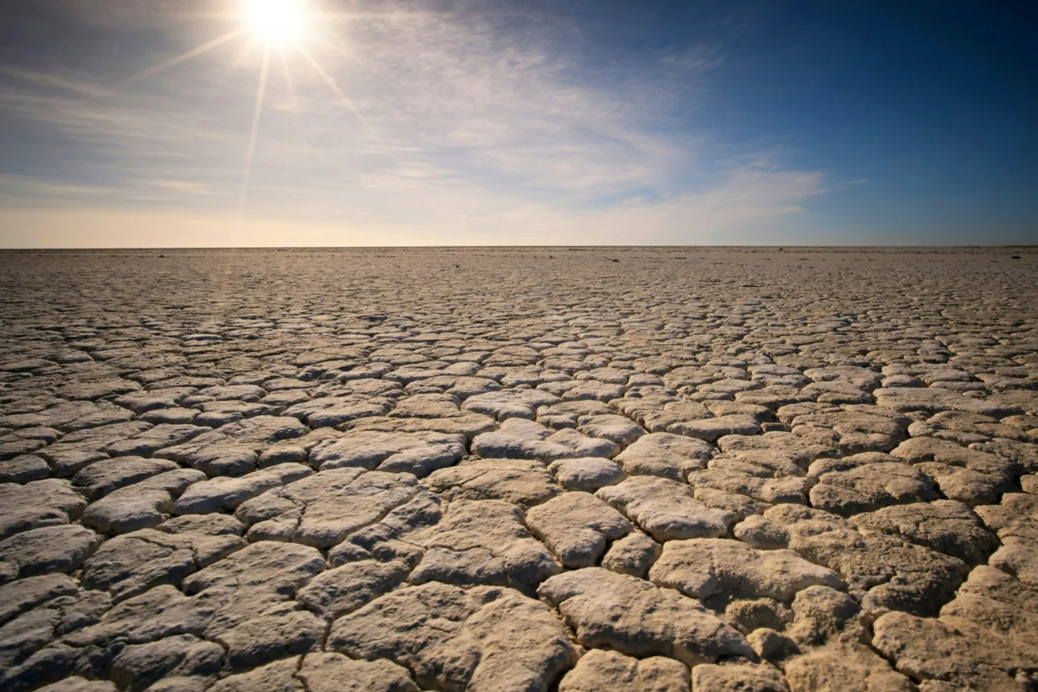 An image of extreme drought