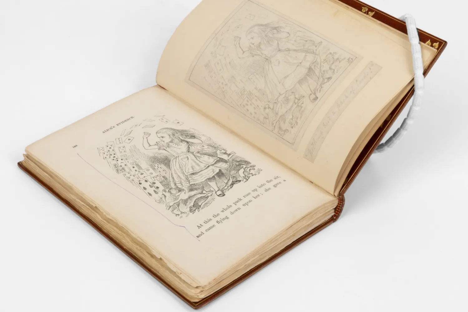 Carroll's copy of Alice in Wonderland