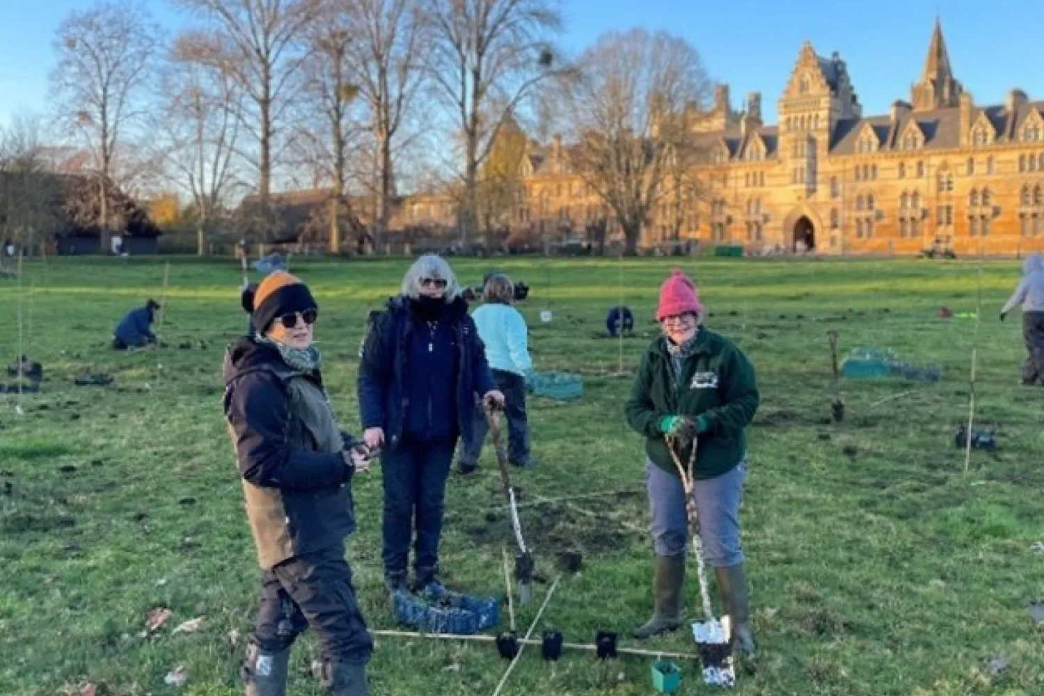 Wildflower planting in Christ Church Meadow
