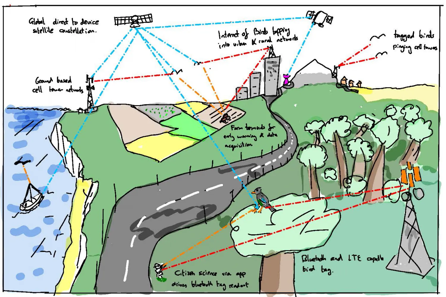 Internet of Birds cartoon illustration