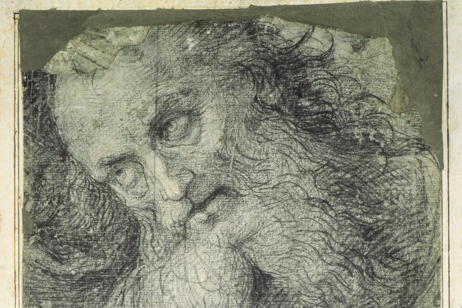 Part of Head of a Bearded Man by Pietro Perugino