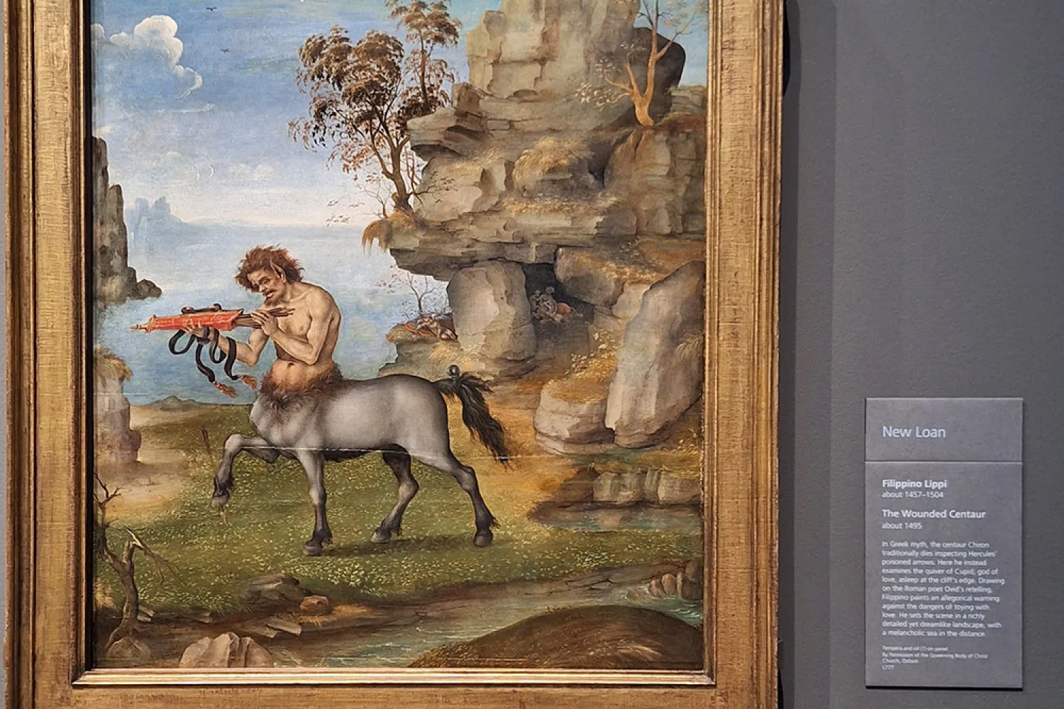 'The Wounded Centaur' by Filippino Lippi 
