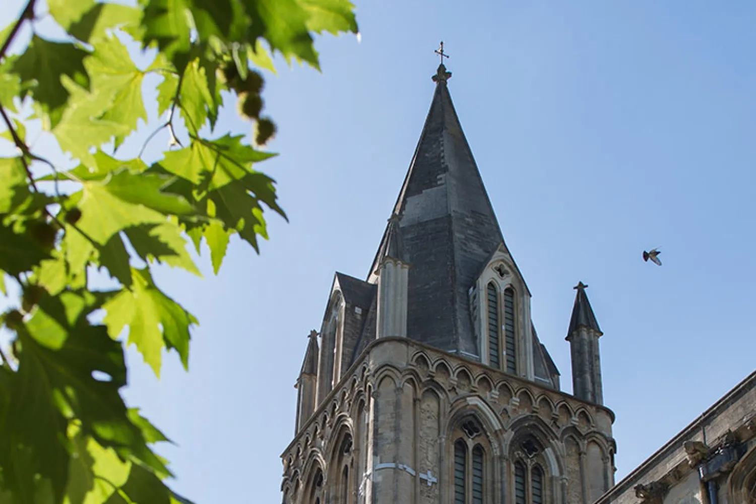 Christ Chuch cathedral