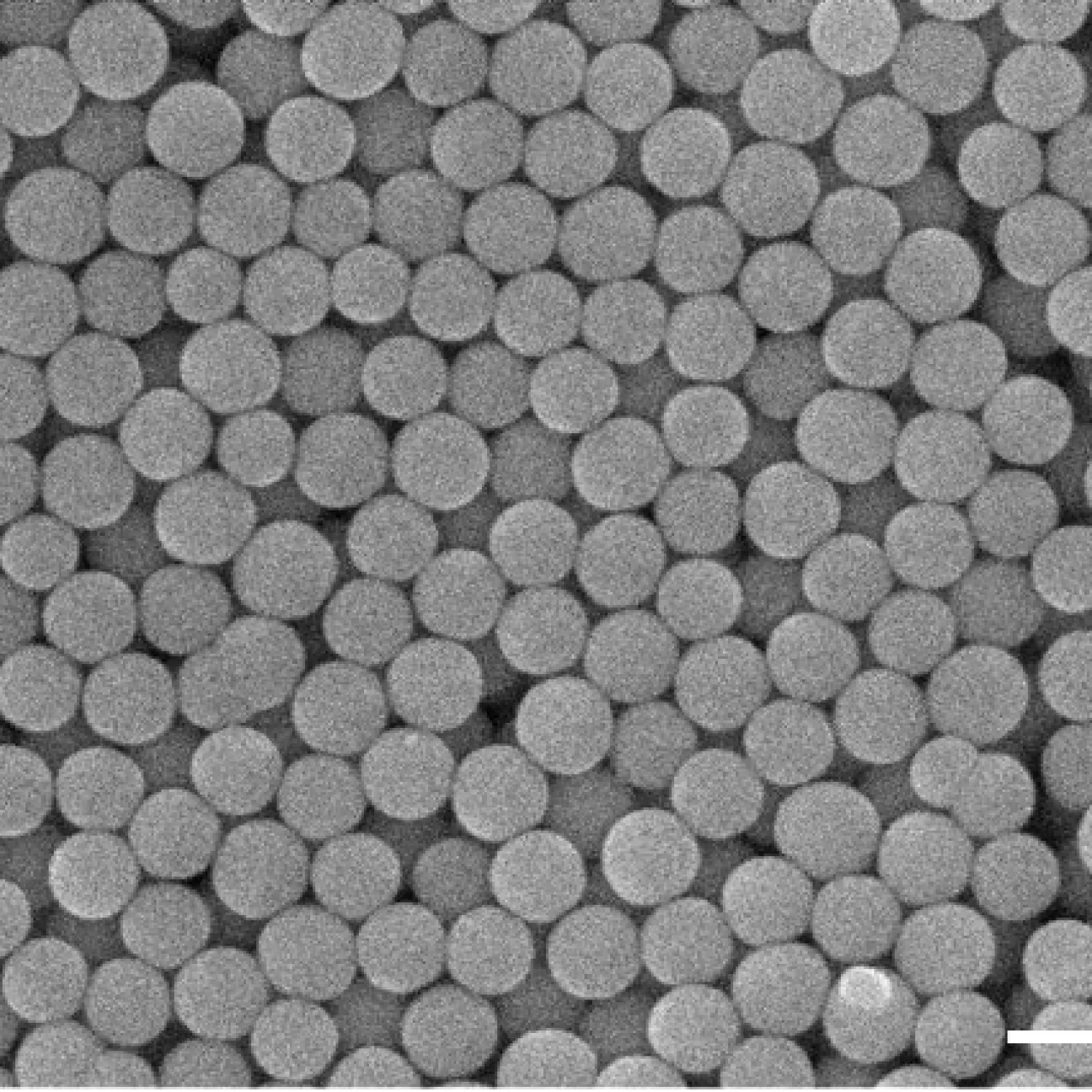 Scanning Electron Microscope image of colloidal particles