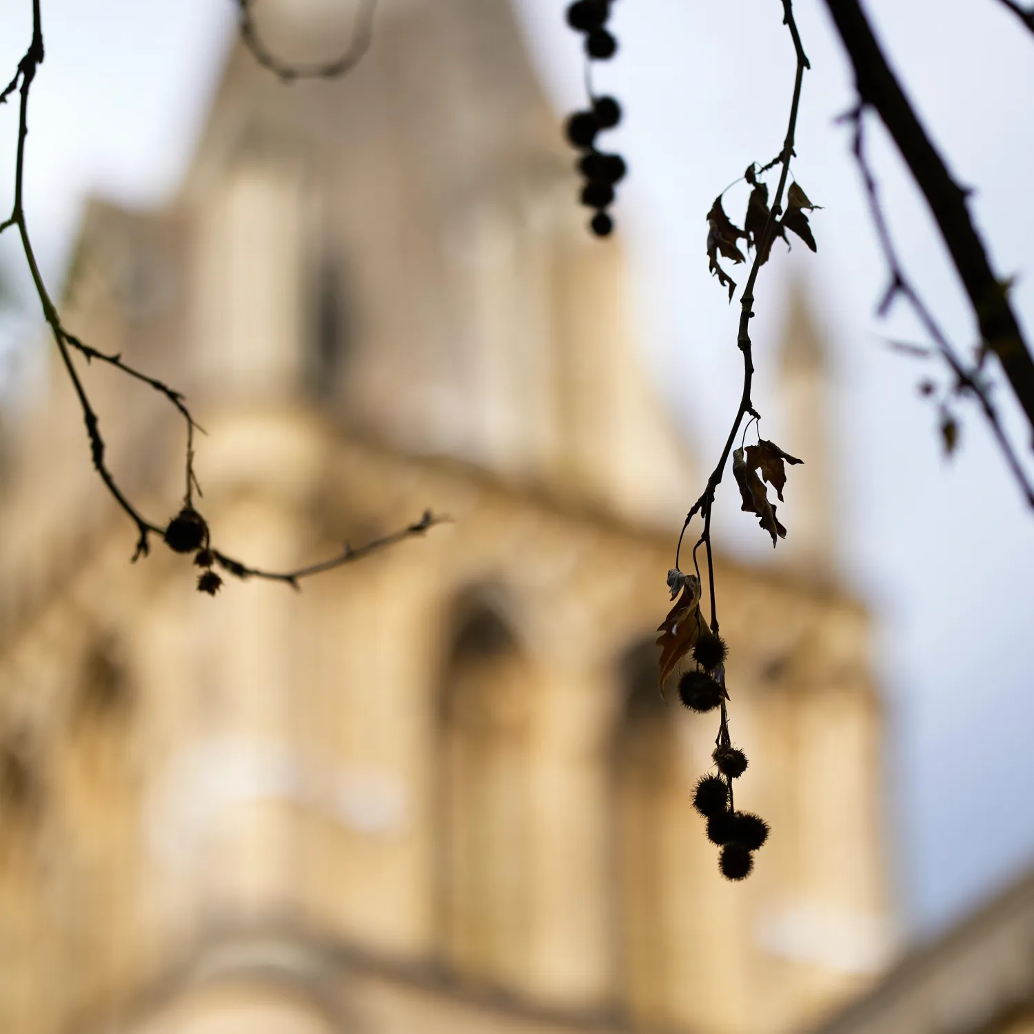 Christ Church Cathedral