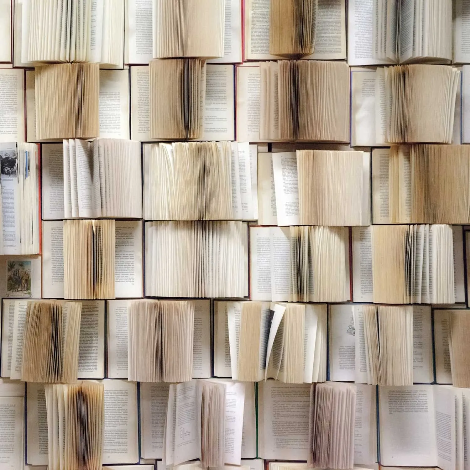 A wall of open books