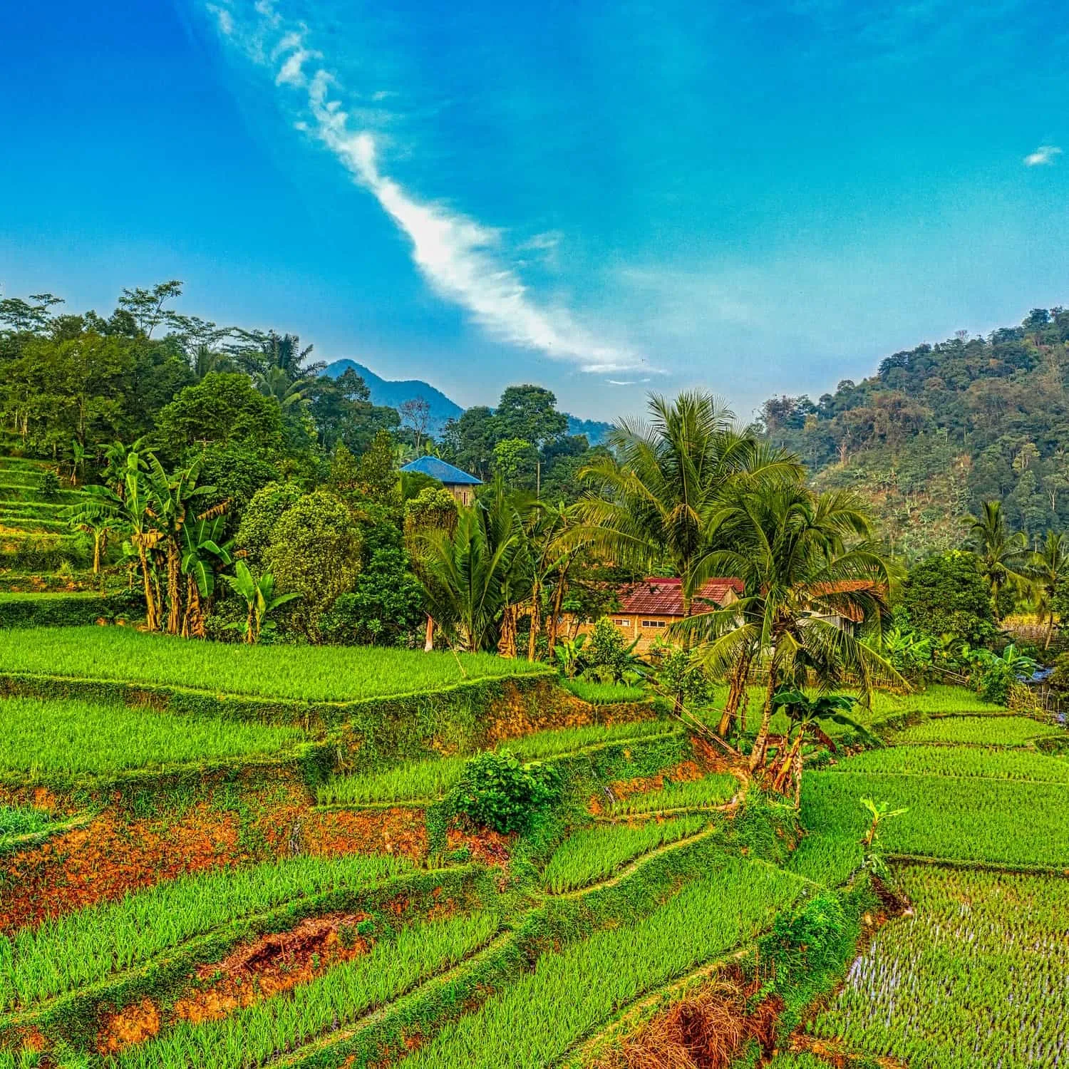 West Java, Indonesia