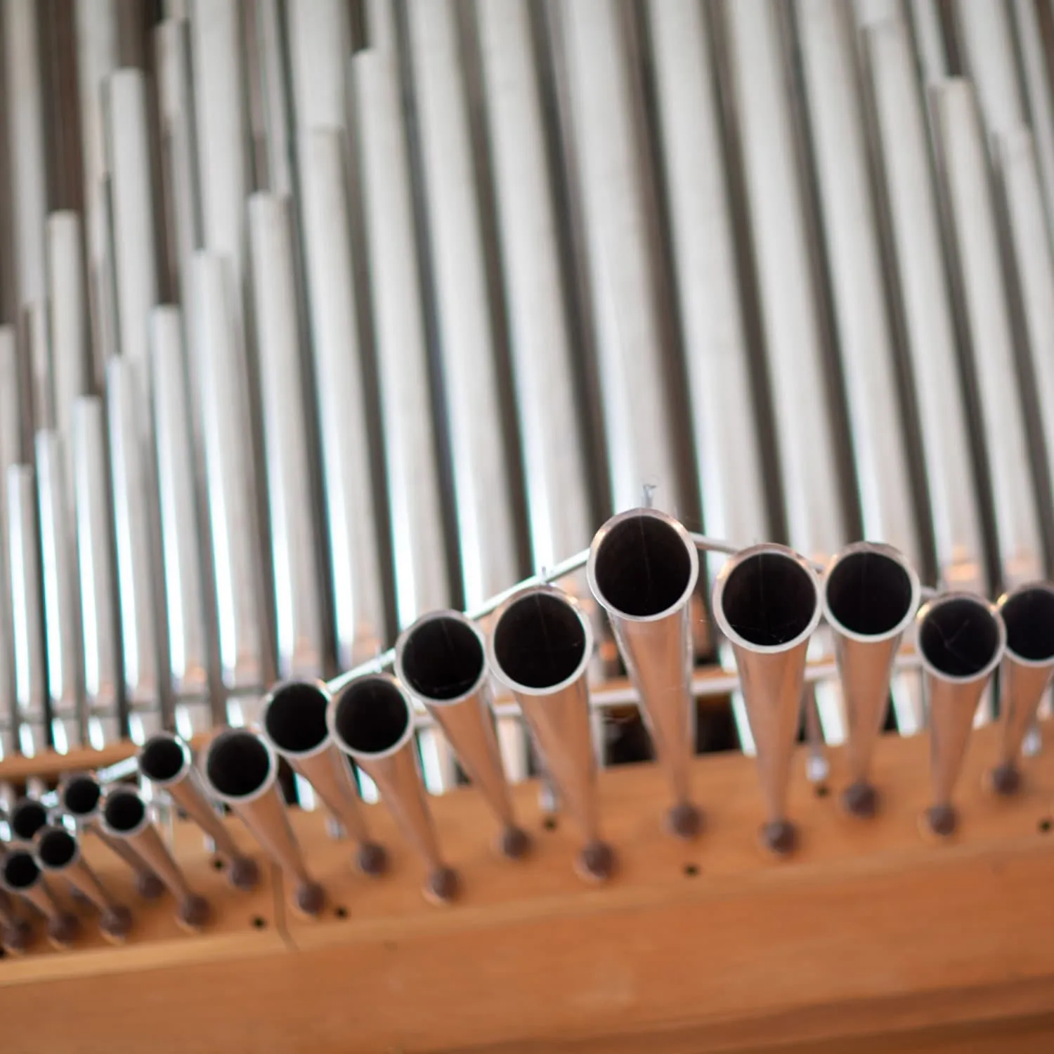 Organ pipes