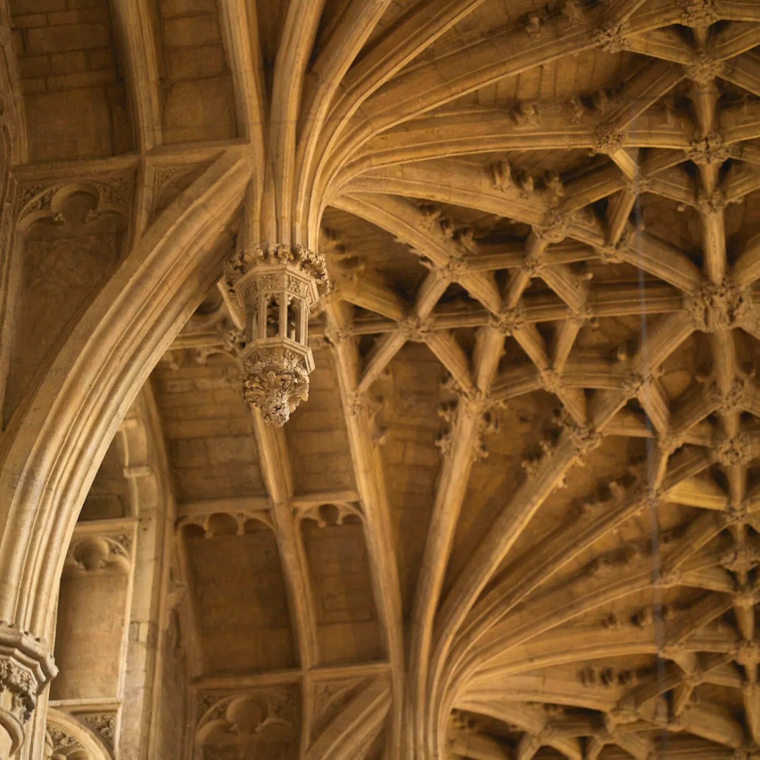 Cathedral vaulting