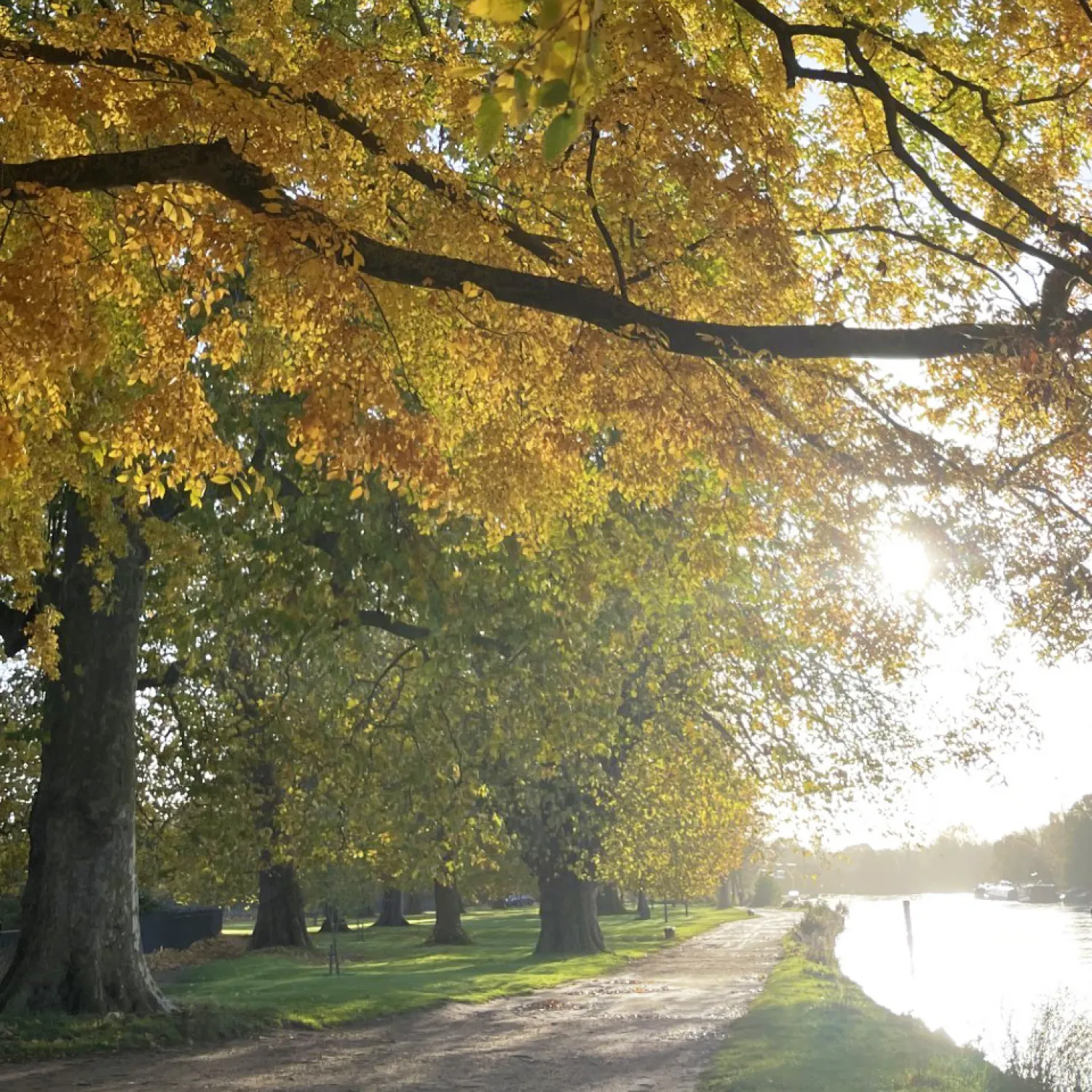 Autumn colour on display at Christ Church