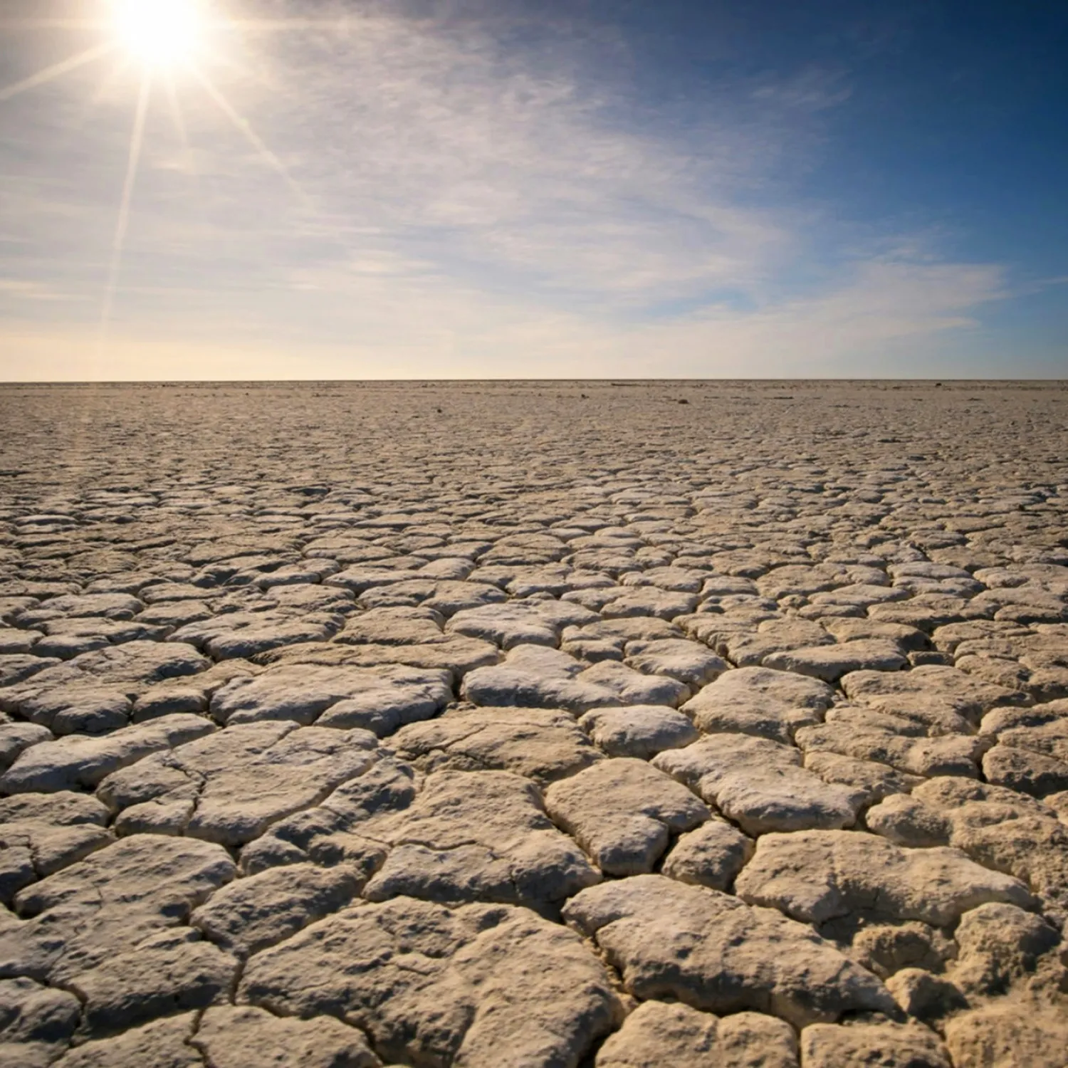 An image of extreme drought