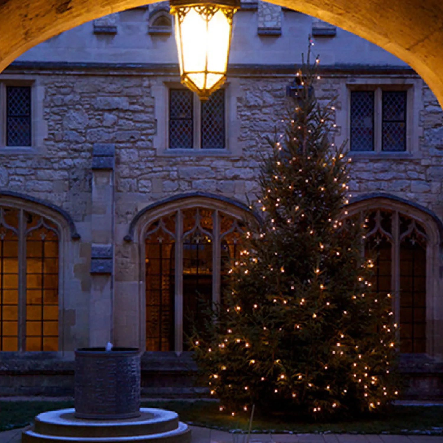 Christmas tree in Cloister