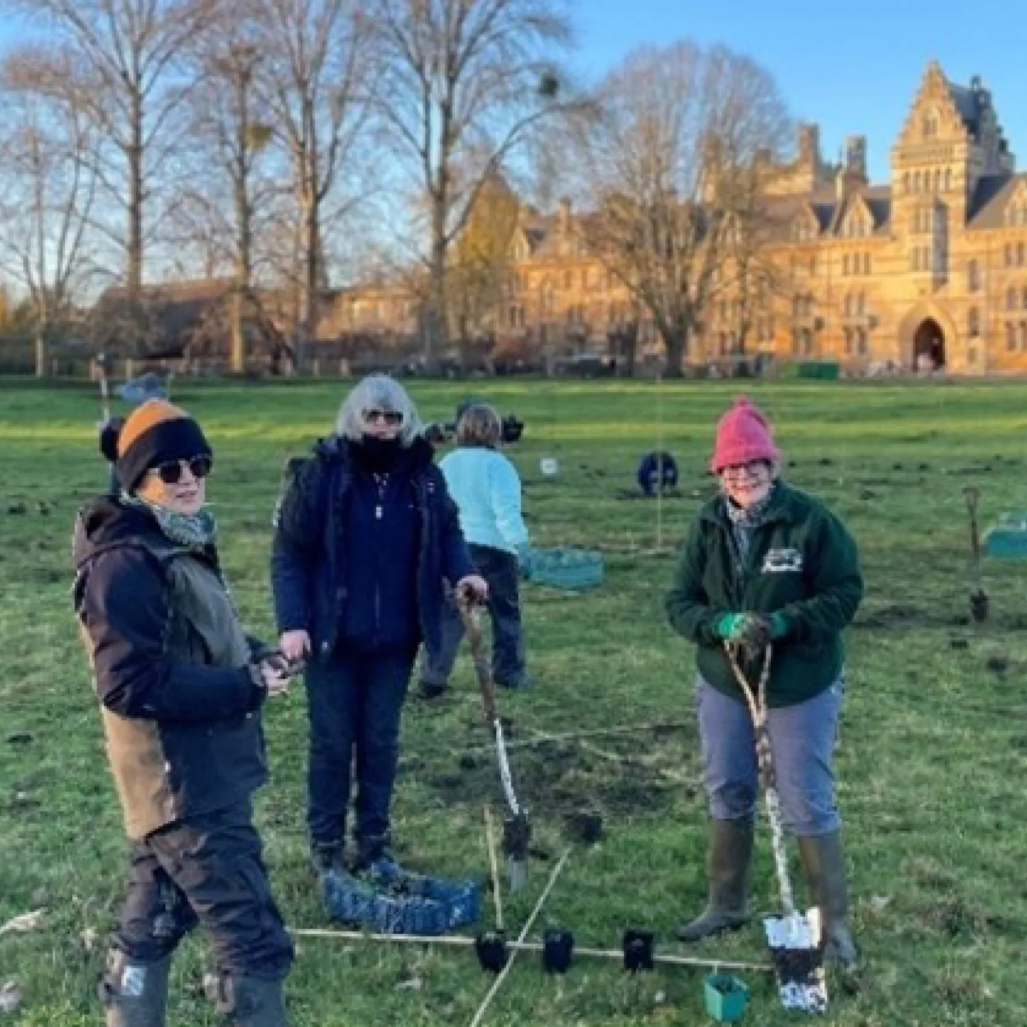 Wildflower planting in Christ Church Meadow