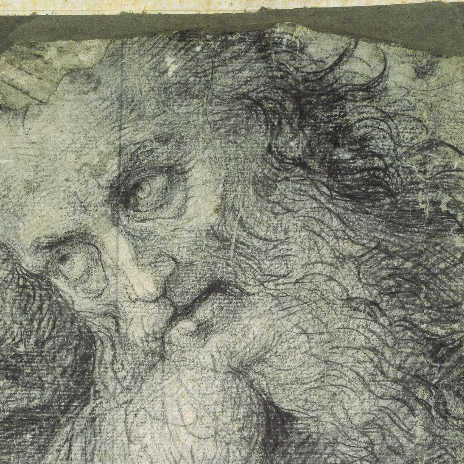 Part of Head of a Bearded Man by Pietro Perugino