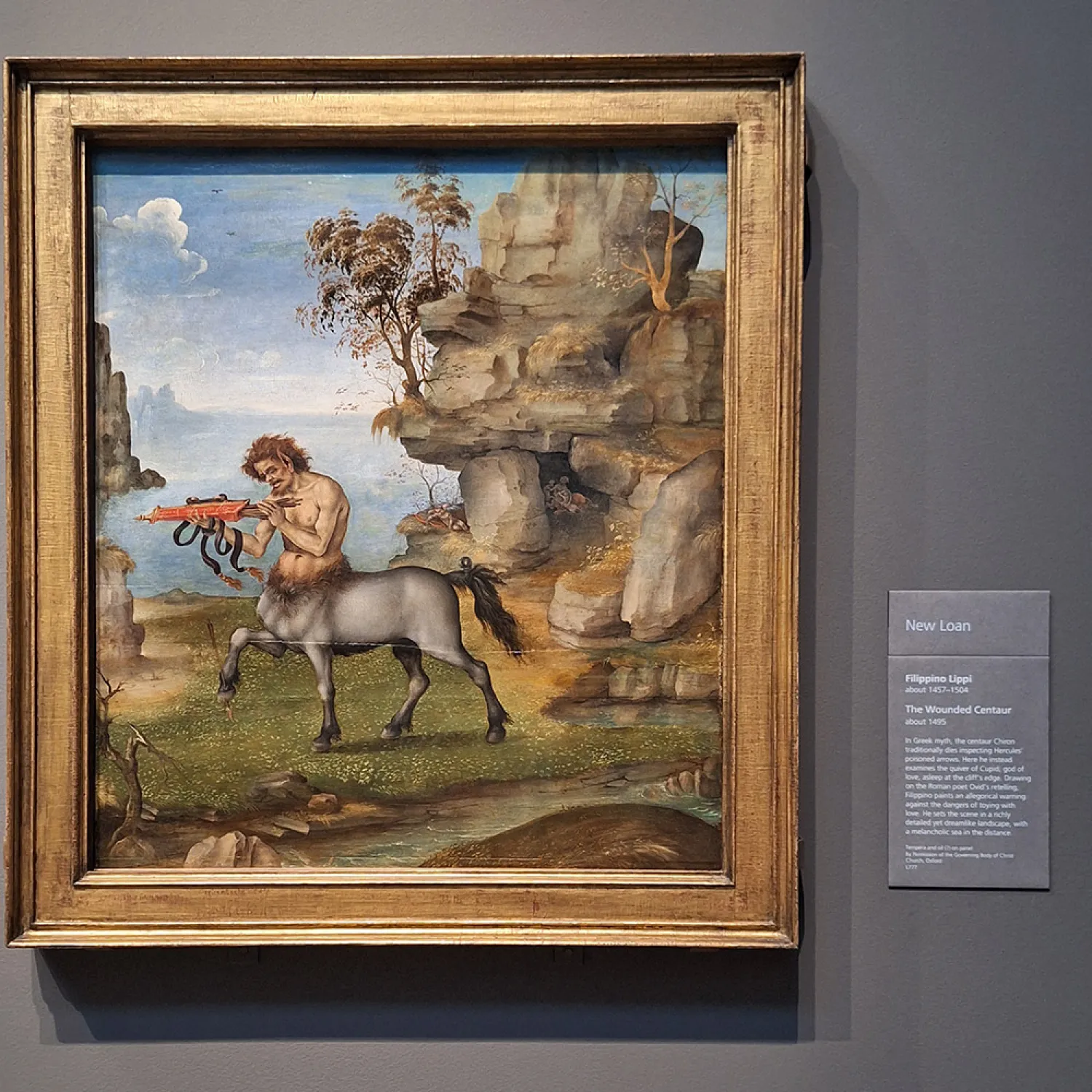 'The Wounded Centaur' by Filippino Lippi 